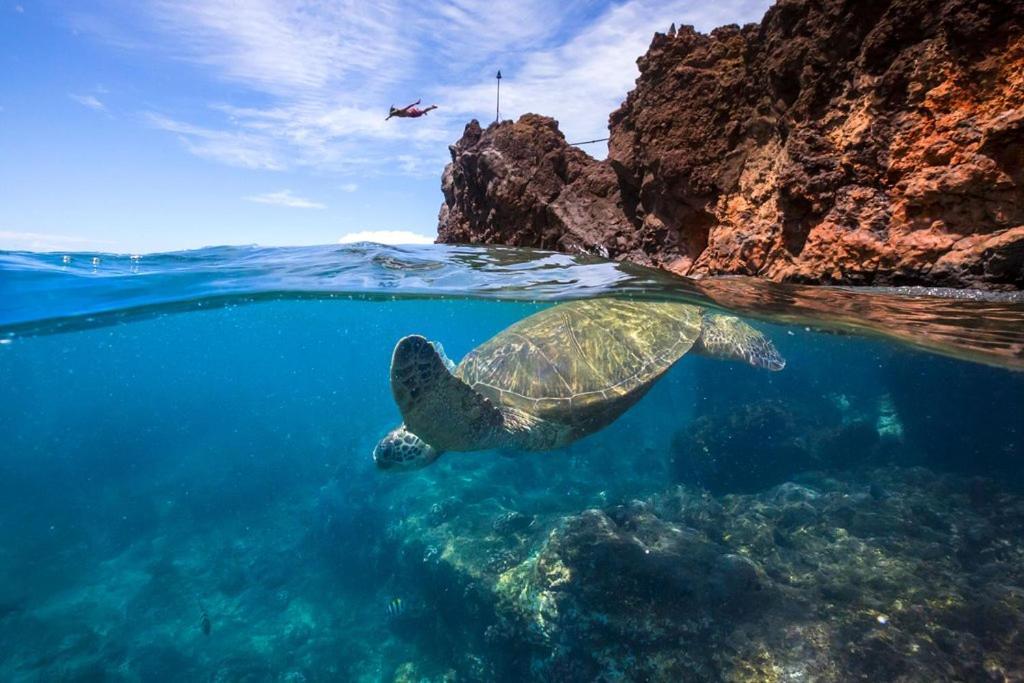 Noahs Hideaway Luxury B&B Lahaina Eksteriør bilde